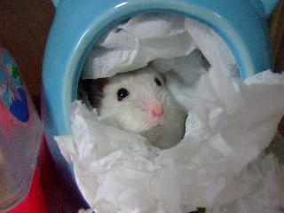 08 blog0018.JPG