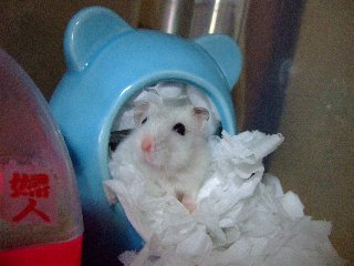08 blog0019.JPG