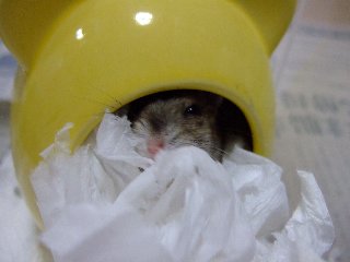 08 blog0020.JPG