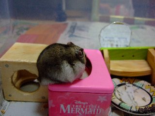 08 blog0021.JPG