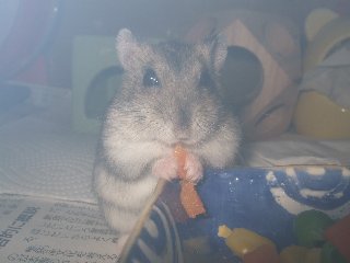 08 blog0023.JPG