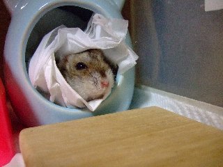 08 blog0026.JPG