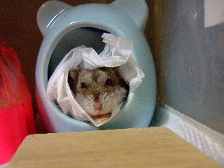 08 blog0027.JPG