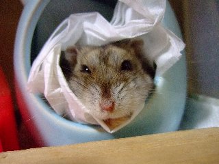08 blog0028.JPG