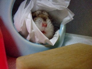 08 blog0029.JPG