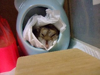 08 blog0030.JPG