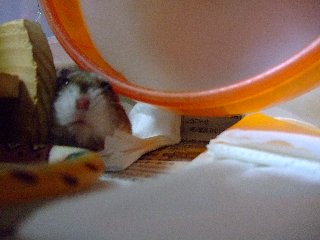 な~に~