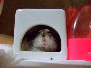 むすっ