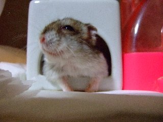 だから、なに!!