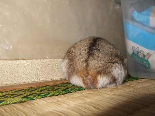 ここが・・