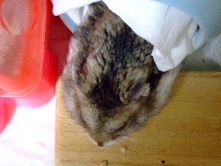 どきっ1
