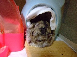 どきっ2