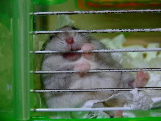 おーい