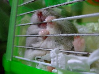 だちて