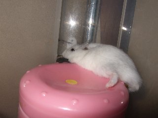あったか~