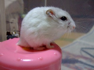 ここは