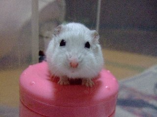 元に戻して