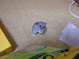 ホエッ