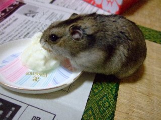うっまぁ~