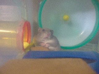 ひょっ