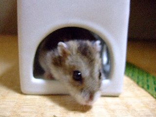 元気でちゅ♪