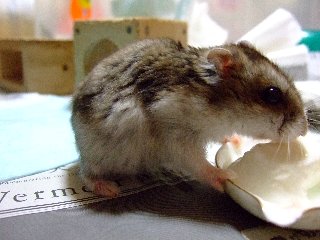 お手手(*/∇\*)