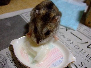 両手がポイント